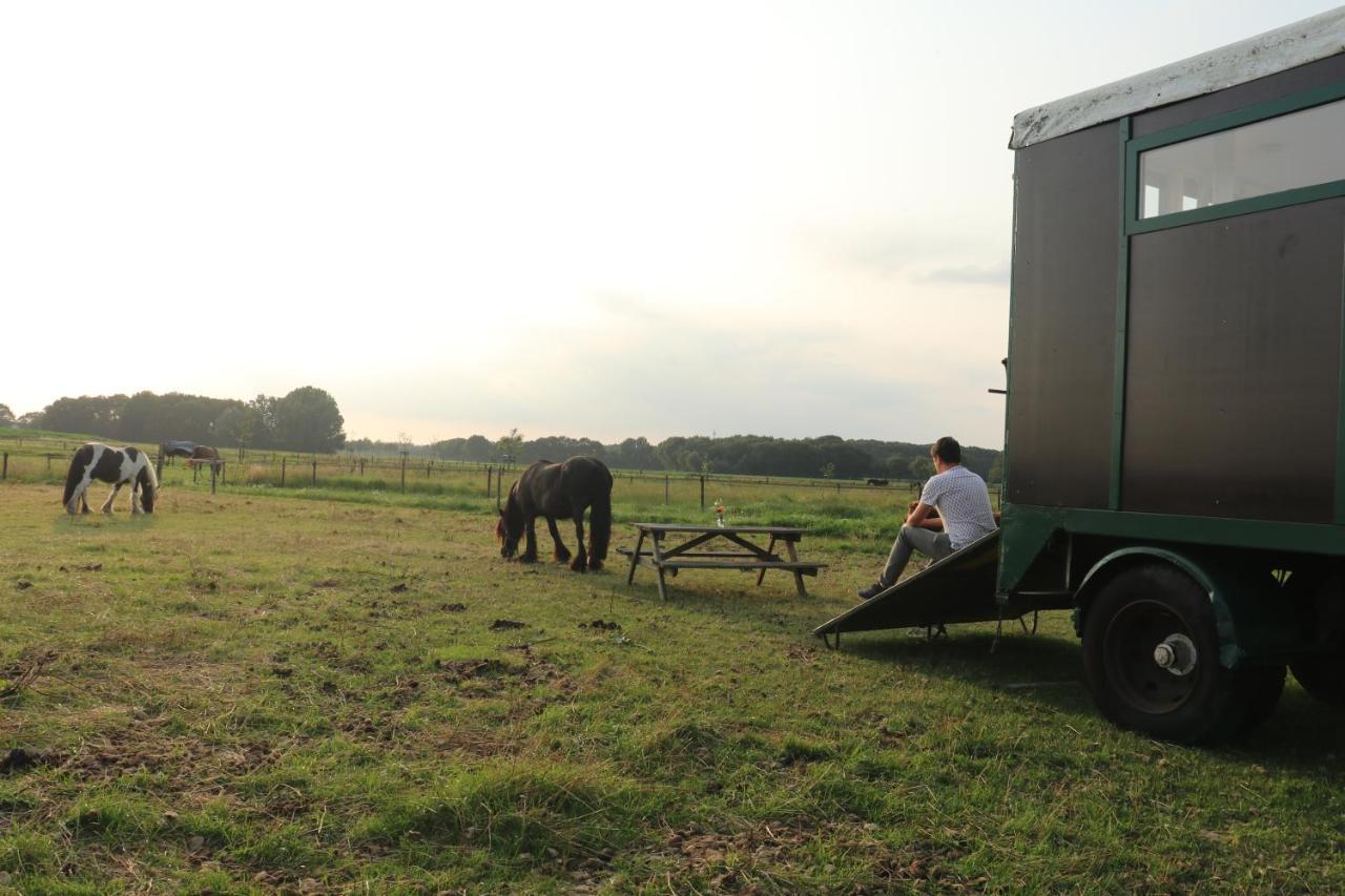 Hotel Slapen Tussen De Paarden Essen Zewnętrze zdjęcie