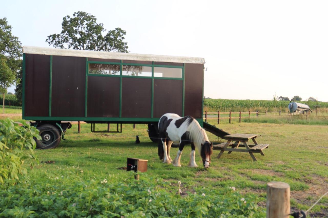 Hotel Slapen Tussen De Paarden Essen Zewnętrze zdjęcie