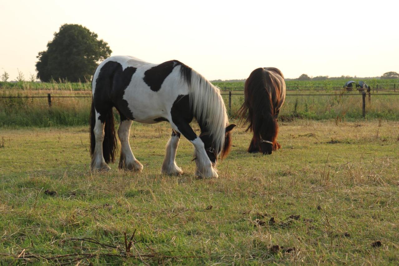Hotel Slapen Tussen De Paarden Essen Zewnętrze zdjęcie